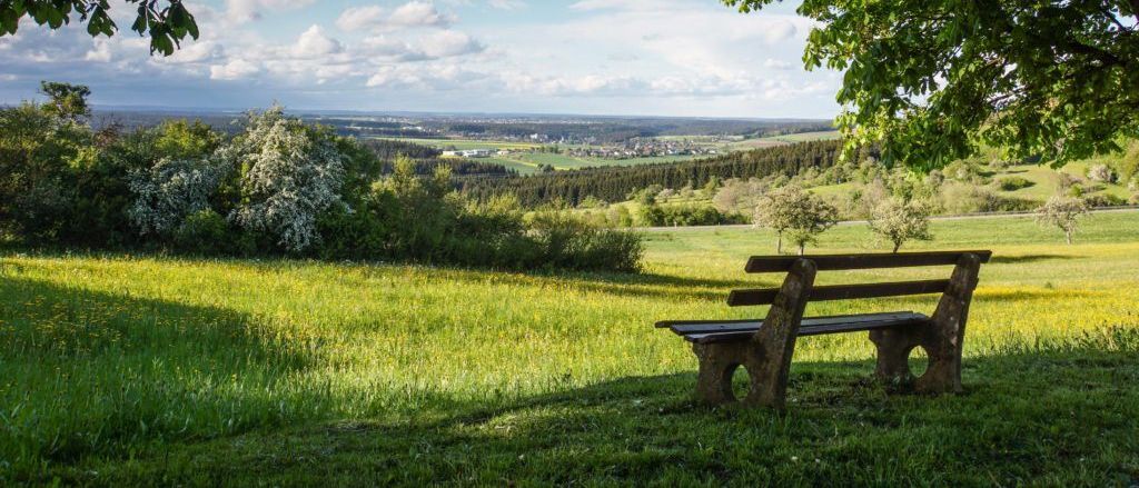 Eine Holzbank unter einem Baum in einem Grasfeld mit Blick auf ein Tal und blauen Himmel.