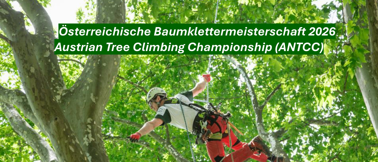 Ein Mann in Kletterausrüstung hängt an einem Seil in der Luft, wahrscheinlich nimmt er an einer Baumklettermeisterschaft teil.