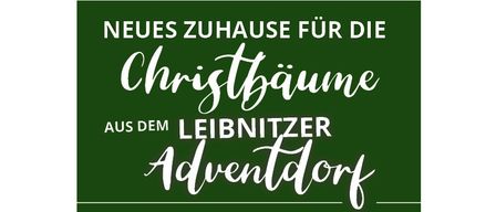 Neues Zuhause für die Christbäume aus dem Leibnitzer Adventdorf, Sonntag, 21. Dezember 2025.