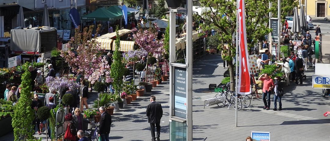 Ein geschäftiger Stadtplatz mit einer Mischung aus Menschen, Straßenverkäufern und einer Kirche im Hintergrund. Der Platz ist mit verschiedenen Pflanzen und Bäumen geschmückt, und Fahrräder sind in der Nähe geparkt.