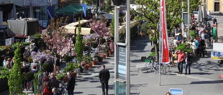 A bustling town square with a mix of people, street vendors, and a church in the background. The square is adorned with various plants and trees, and bicycles are parked nearby.