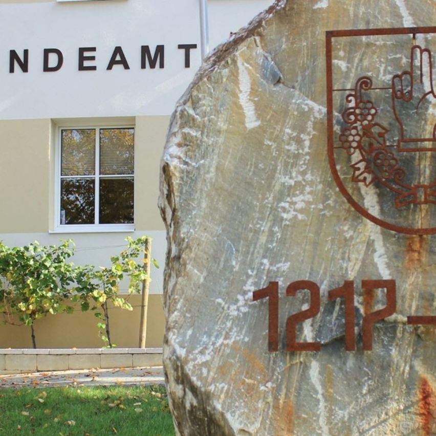 Bild enthält, Slate, Grass, Tree, City, Urban, Sycamore, Gravestone, Tomb, Rock