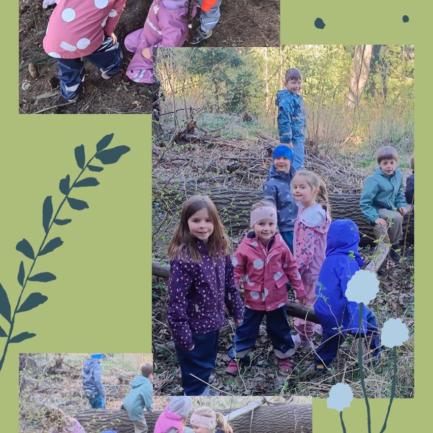 A collage of children in the woods, some are standing and others are sitting on a log. They are wearing colorful jackets.