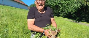 Bild enthält, Grass, Adult, Male, Man, Person, Portrait, Outdoors, Yard, Shorts, Wristwatch