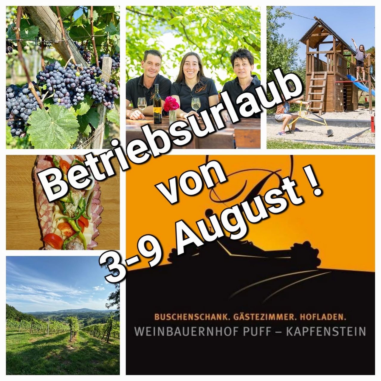 Eine Collage von Bildern, die einen Weinbetrieb bewirbt. Sie zeigt einen Weinberg, eine Familie, die Wein genießt, einen Spielplatz und eine malerische Aussicht. Der Text lautet 'Betriebsurlaub von 3-9 August'.