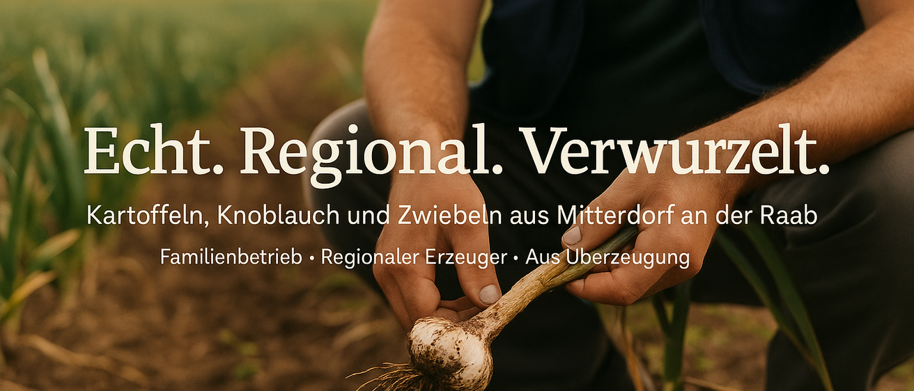Eine Person, die einen Knoblauch in einem Feld hält, mit Text, der 'leicht. Regional. Gemüse, Knoblauch und Zwiebeln aus Mitterdorf am Familienbetrieb. Regionaler Erzeuger. Aus Überzeugung.' liest.