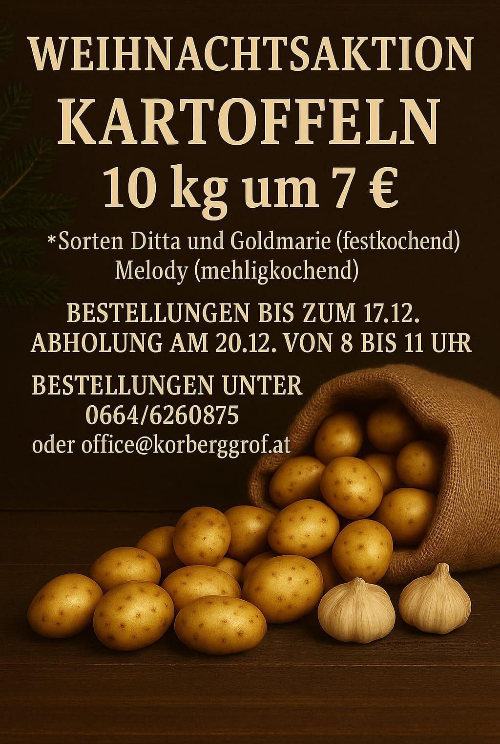 Plakat bewirbt Kartoffeln zum Verkauf. Bietet zwei Sorten an: Ditta und Goldmarie (fest gekocht) und Melody (mehlig gekocht). Bestellungen bis zum 17.12. Abholung am 20.12. von 8 bis 11 Uhr. Kontakt per Telefon oder E-Mail.
