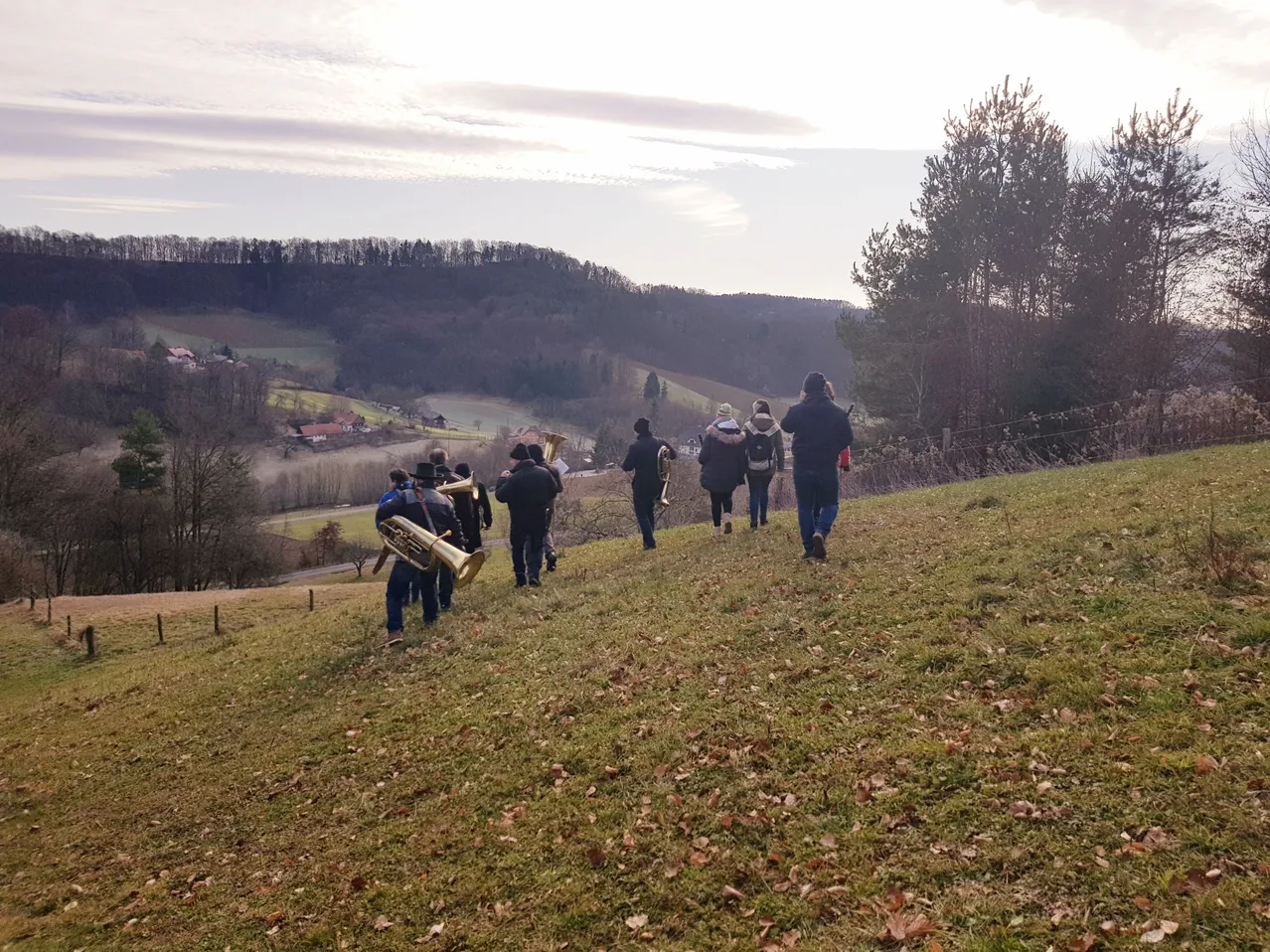 Grass, Person, Walking, Field, Grassland, Nature, Outdoors, Hiking, Pasture, Tree