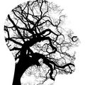 Plant, Tree, Oak, Silhouette, Tree Trunk, Animal, Dinosaur, Reptile, Head, Person