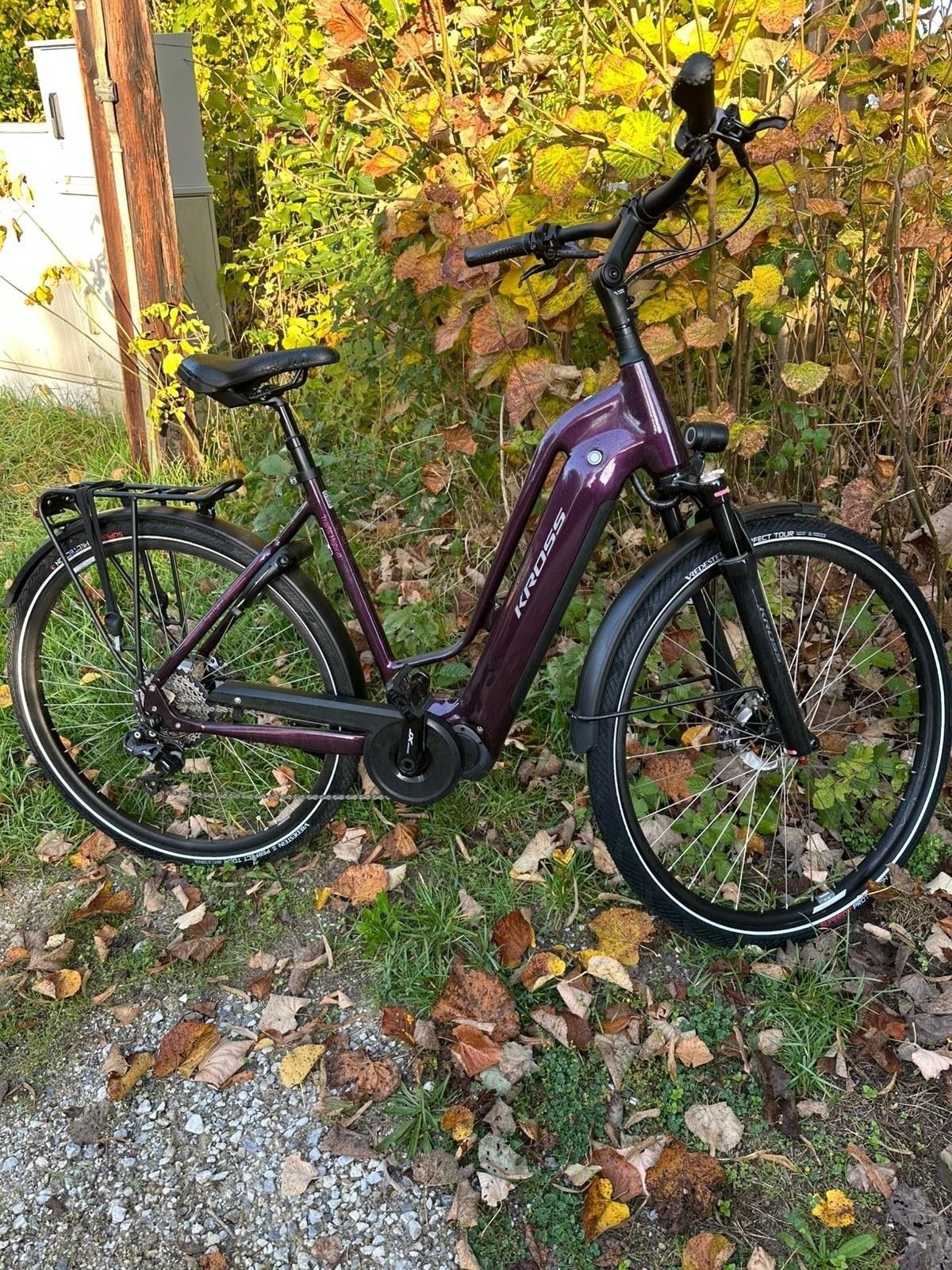 Ein lila Fahrrad mit schwarzem Sattel und Lenker steht auf Gras neben einem Busch mit gelben und roten Blättern.