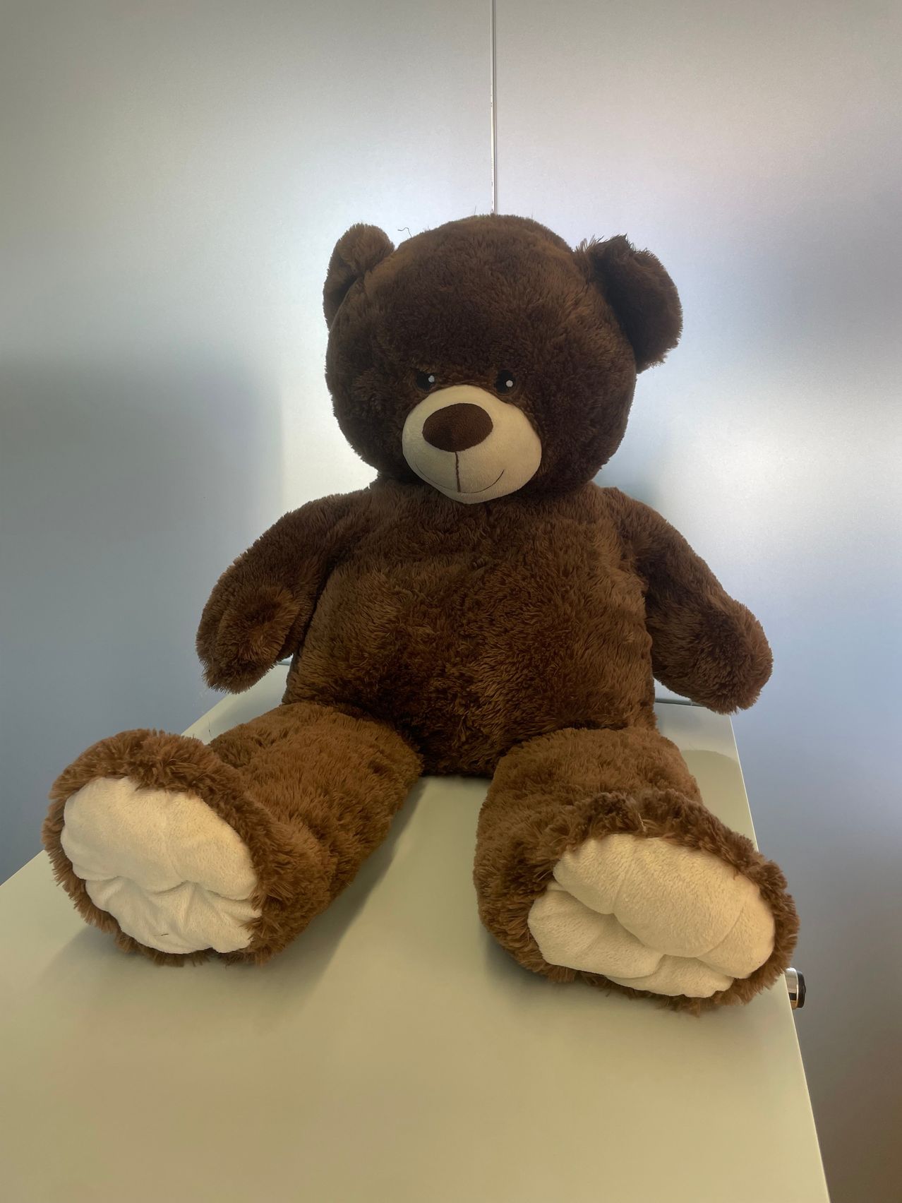 A large brown teddy bear with a white nose and paws, sitting on a white surface.