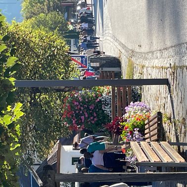 Bild enthält, Potted Plant, Planter, Garden, Nature, Outdoors, Arbour, Porch, City, Street, Scenery