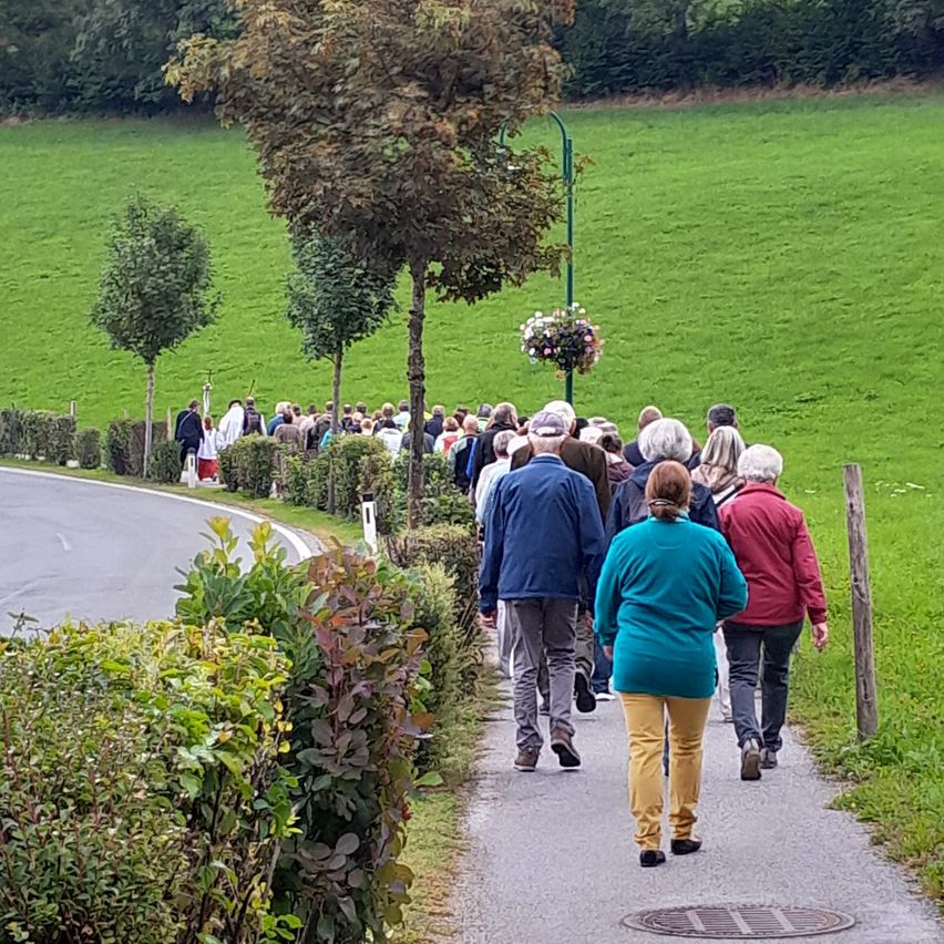 Eine Gruppe von Menschen geht auf einem Pfad in einem ländlichen Gebiet, umgeben von Grün und einem großen Feld.