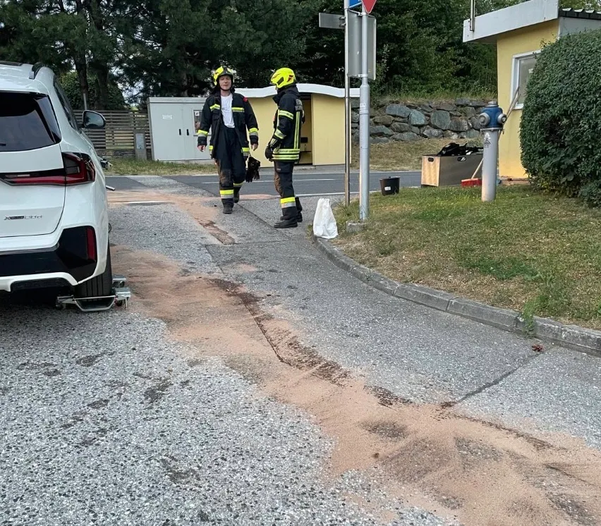 Zwei Feuerwehrleute in gelben Uniformen stehen auf einer Straße, mit einem geparkten weißen Auto in der Nähe. Ein Feuerhydrant und ein kleines Gebäude sind im Hintergrund sichtbar.