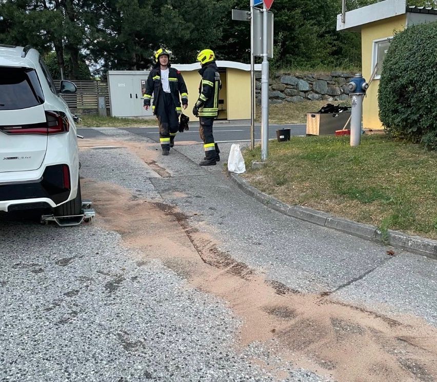 Two firefighters in yellow uniforms are standing on a road, with a white car parked nearby. A fire hydrant and a small building are visible in the background.