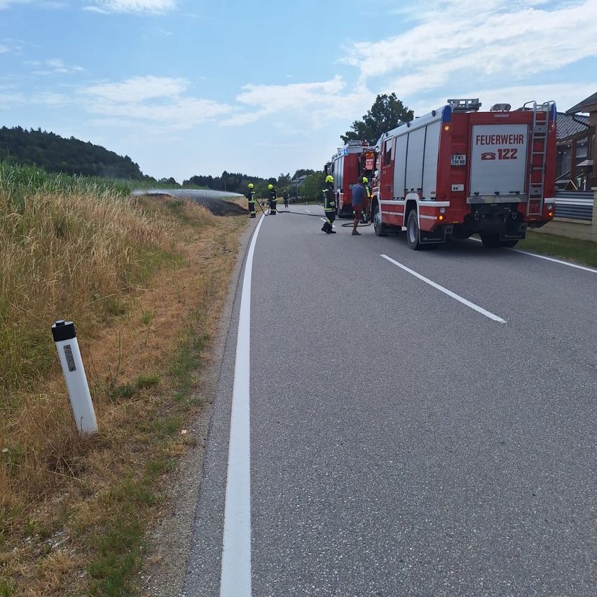 Feuerwehrleute stehen am Straßenrand und besprühen ein Feuer im Gras. Ein Feuerwehrwagen ist in der Nähe geparkt.