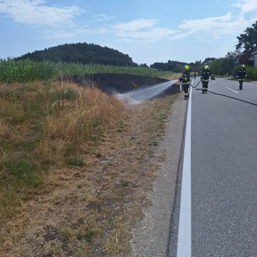 Feuerwehrleute verwenden einen Schlauch, um ein Feuer am Straßenrand zu löschen.