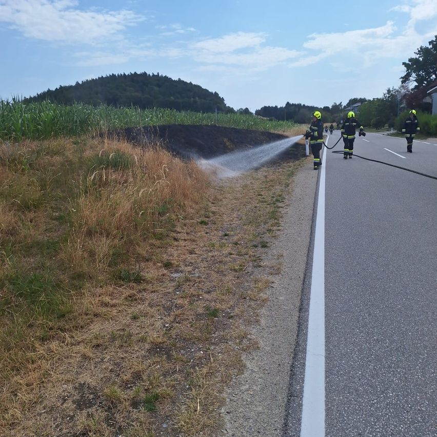 Feuerwehrleute verwenden einen Schlauch, um ein Feuer am Straßenrand zu löschen.