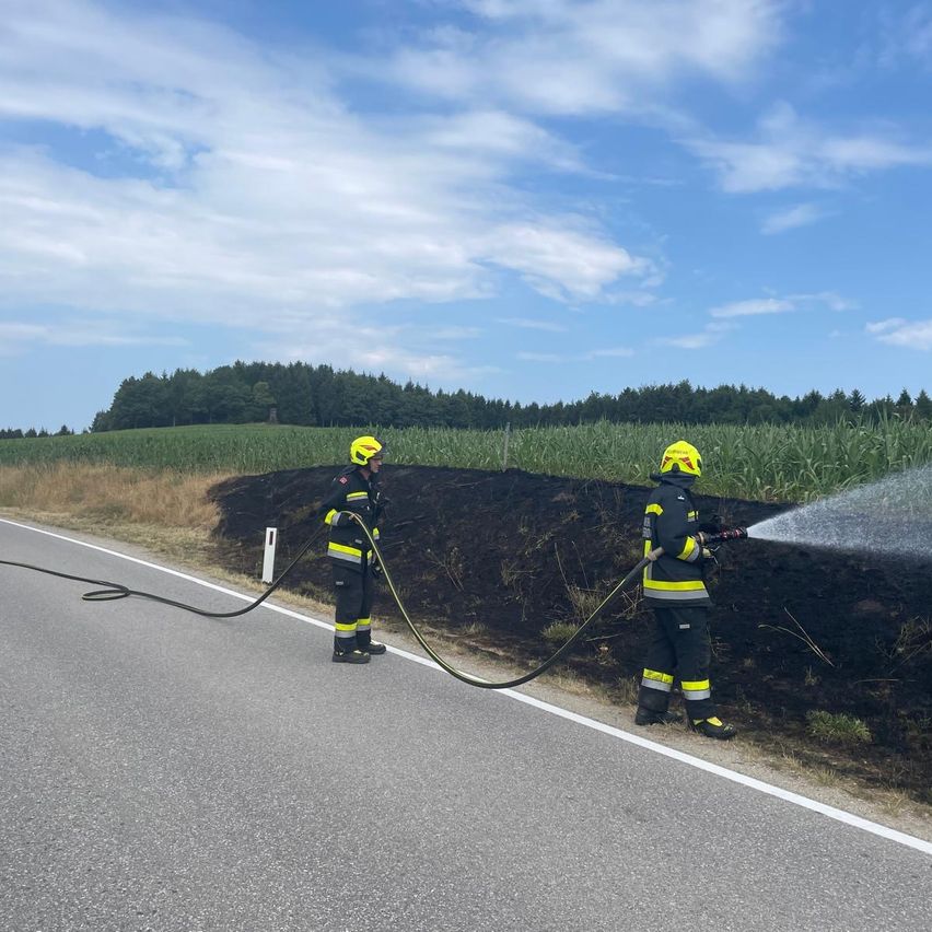 Zwei Feuerwehrleute sprühen mit einem Schlauch Wasser auf einen angesengten Erdfleck neben einer Straße.