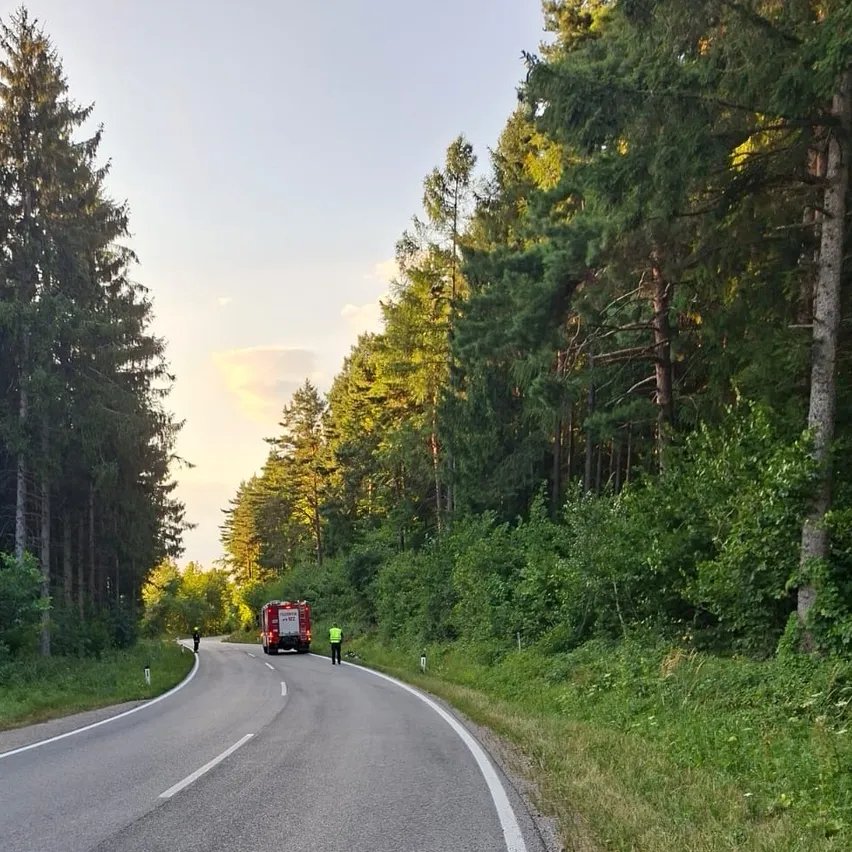 Ein Feuerwehrauto steht am Straßenrand, umgeben von hohen Bäumen, mit zwei Personen in der Nähe.