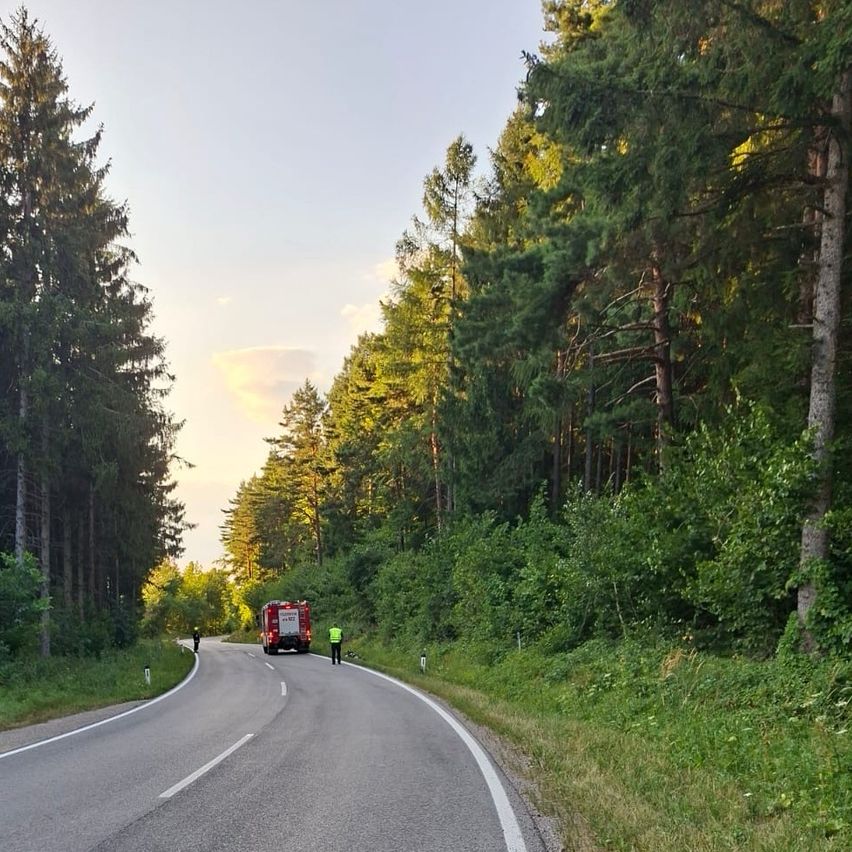 Feuerwehrauto mit zwei Einsatzkräften auf einer Straße im Wald bei Sonnenuntergang
