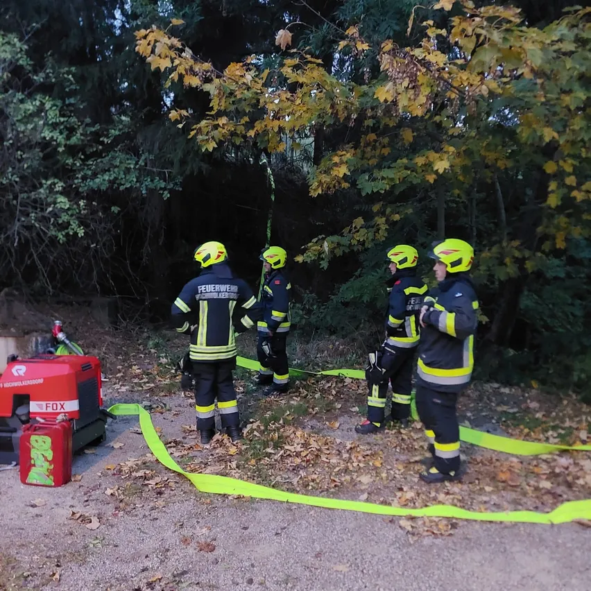 Eine Gruppe von Feuerwehrleuten in gelben und schwarzen Uniformen steht in einem Wald, einer von ihnen hält ein gelbes Seil.