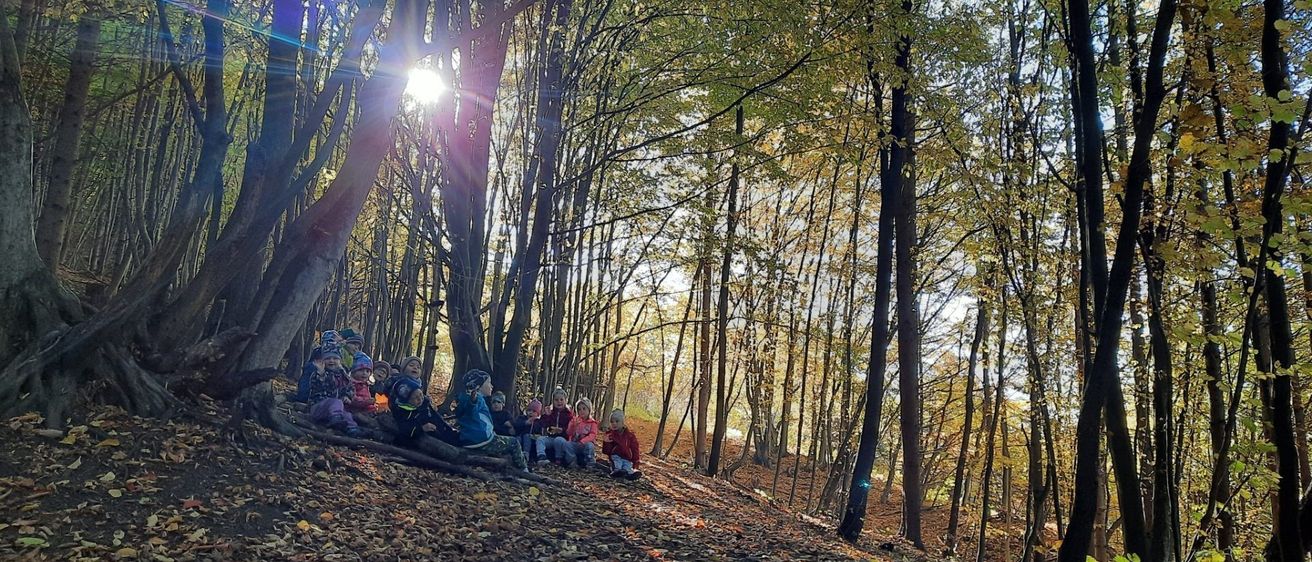 v1_migrated_image_69808630