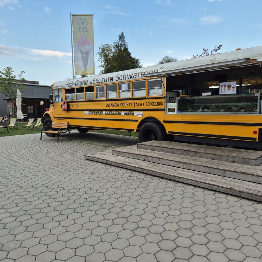 Bild enthält, Bus, Transportation, Vehicle, School Bus, Person, Machine, Wheel