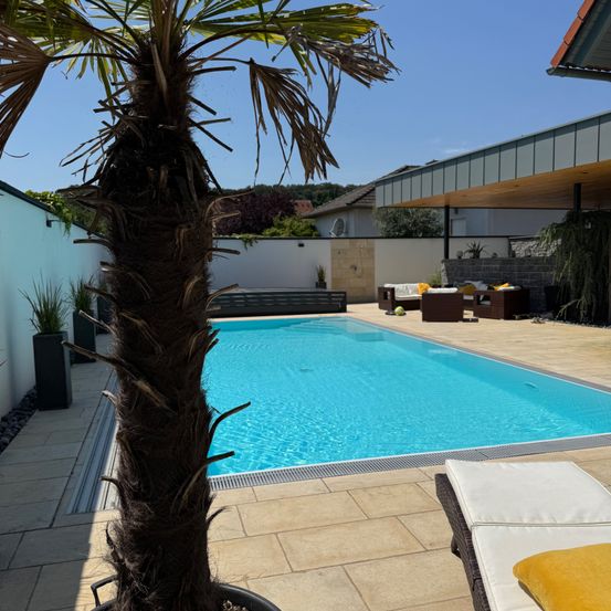 Ein Swimmingpool mit klarem blauem Wasser, umgeben von einem Terrassenbereich mit Liegestühlen und einer großen Palme. Der Patio ist von weißen Wänden und einem überdachten Bereich mit Tisch und Stühlen begrenzt. In der Ferne befinden sich Gebäude und Bäume.