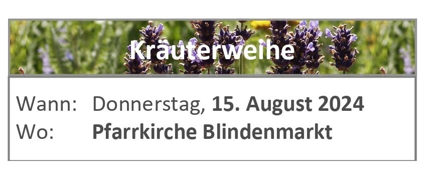 Flower, Plant, Lavender