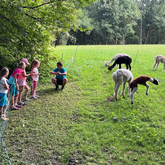 Bild enthält, Animal, Antelope, Mammal, Person, Nature, Outdoors, Field, Grassland, Kangaroo, Shorts