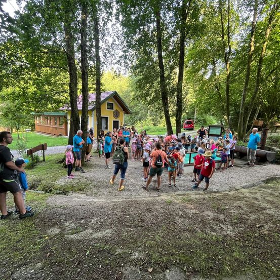 Bild enthält, People, Person, Grass, Park, Tree, Vegetation, Woodland, Shelter, Grove, Man
