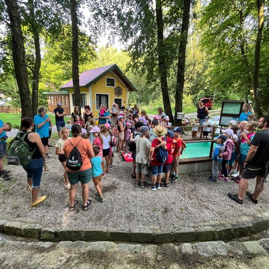 Bild enthält, Grass, Outdoors, Park, Shelter, People, Person, Tree, Vegetation, Woodland, Man
