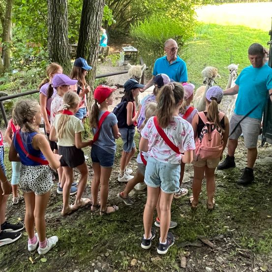 Bild enthält, Shorts, People, Person, Grass, Park, Tree, Vegetation, Walking, Summer, Child