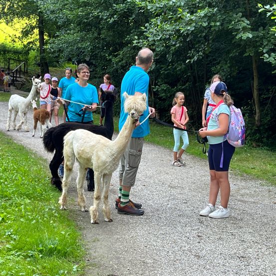 Bild enthält, Adult, Male, Man, Person, Female, Girl, Teen, Park, Shorts, Shoe
