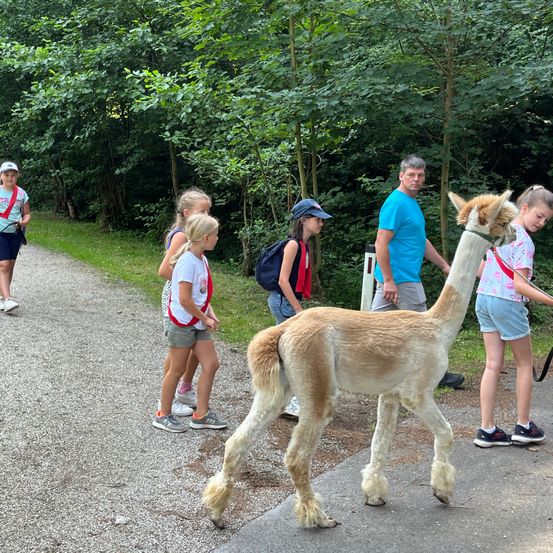 Bild enthält, Shorts, Person, Walking, Child, Female, Girl, Adult, Male, Man, Shoe