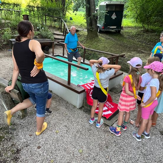Bild enthält, Shorts, Adult, Female, Person, Woman, Park, Shoe, Child, Girl, Man