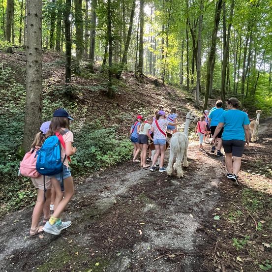 Bild enthält, Hiking, Person, Walking, Path, Bag, Vegetation, Backpack, Trail, Woodland, Backpacking