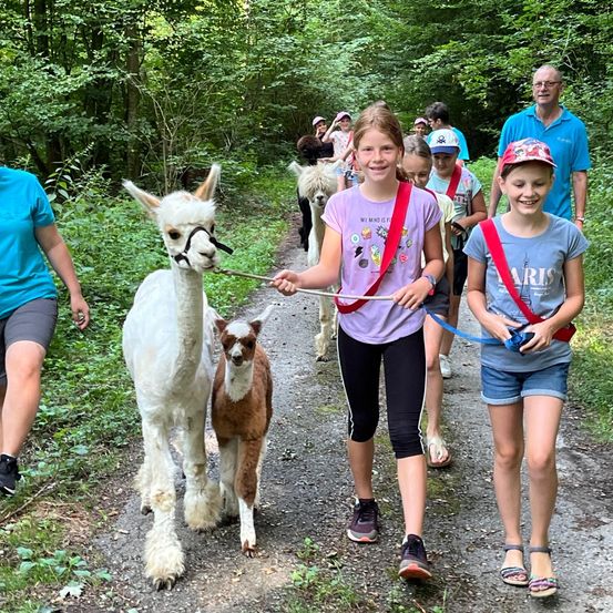 Bild enthält, Vegetation, Boy, Male, Person, Teen, Path, Photobombing, Shorts, Walking, Hiking