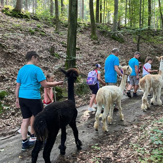 Bild enthält, Vegetation, Tree, Woodland, Person, Path, Shorts, Animal, Dog, Jungle, Grove