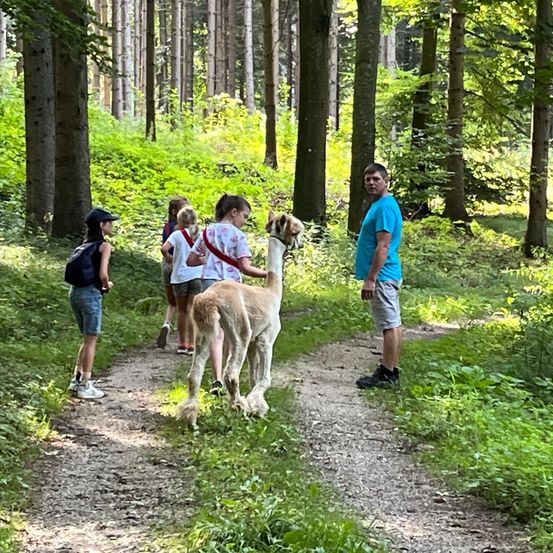 Bild enthält, Person, Footwear, Shoe, Shorts, Animal, Canine, Mammal, Pet, Dog, Walking Dog