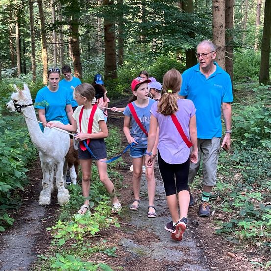 Bild enthält, Path, Vegetation, Hiking, Nature, Outdoors, Person, Trail, Woodland, Adult, Man