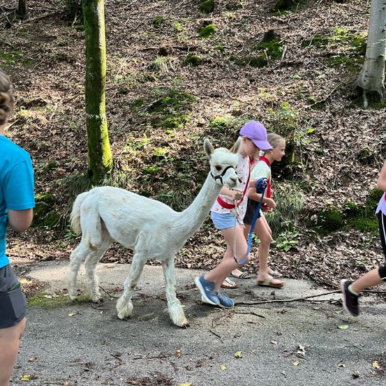 Bild enthält, Vegetation, Shorts, Boy, Child, Male, Person, Female, Girl, Park, Mammal