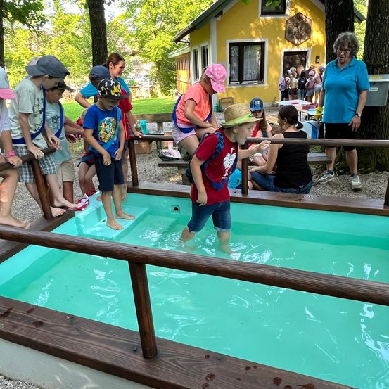 Bild enthält, Pool, Swimming Pool, Adult, Female, Person, Woman, Boy, Child, Male, Outdoors