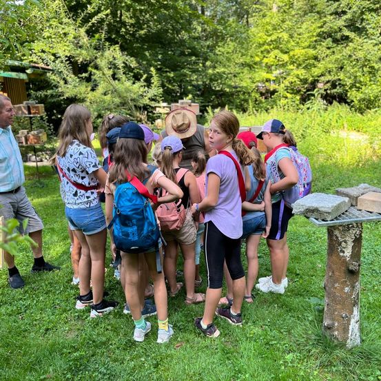 Bild enthält, Grass, Park, Tree, Vegetation, Shorts, Woodland, Grove, Portrait, People, Backyard