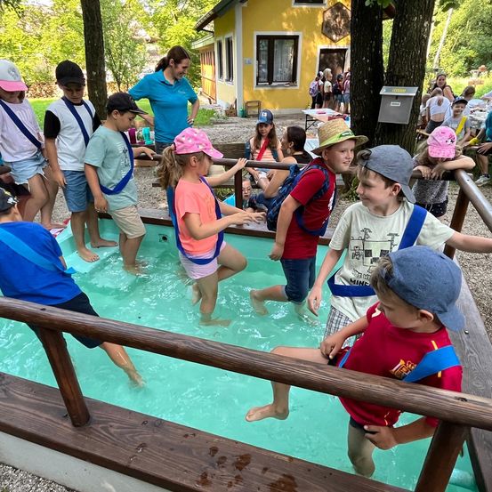 Bild enthält, Summer, People, Person, Portrait, Pool, Shorts, Swimwear, Swimming Pool, Shelter, Park