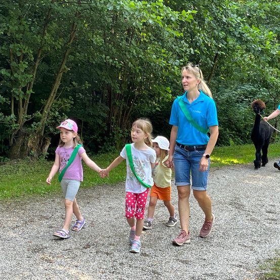 Bild enthält, Walking, Grass, Park, Vegetation, Land, Tree, Woodland, Grove, People, Path