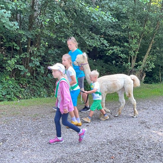 Bild enthält, Grass, Park, Vegetation, Grove, Tree, Woodland, Photography, Portrait, Walking, Path