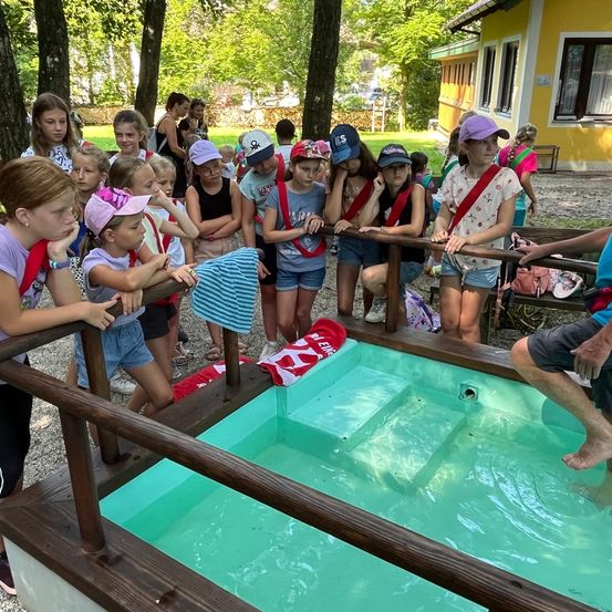 Bild enthält, People, Person, Summer, Pool, Adult, Male, Man, Swimming Pool, Baton, Shorts