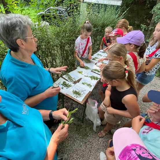 Bild enthält, People, Person, Herbal, Child, Female, Girl, Adult, Woman, Table, Outdoors